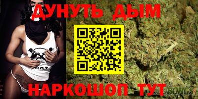 мдпв Кингисепп