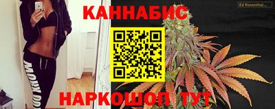 мдпв Кингисепп
