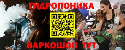 мдпв Кингисепп