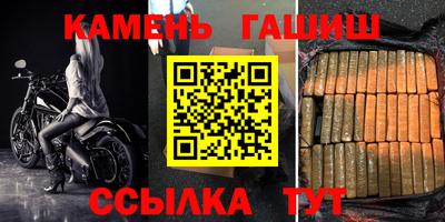 мдпв Кингисепп