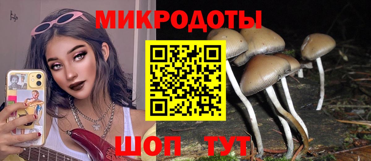 Галлюциногенные грибы GOLDEN TEACHER  Галлюциногенные грибы Cubensis  Вход с VPN  Карпинск 